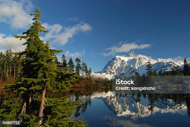 Photo libre de droit de Lac Picture Lake Et Mtshuksan banque d'images et plus d'images libres de droit de Arbre - Arbre, Arbre à feuilles persistantes, Blanc