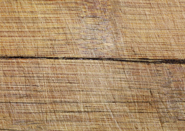 close-up background of wood texture