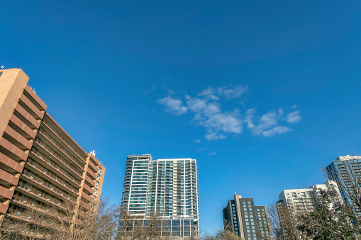 Austin, Texas- Mid-rise apartment buildings in a low angle view. There are trees at the front of the buildings with modern and classic designs against the sky.