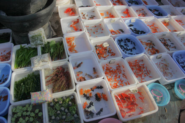 Goldfish Market