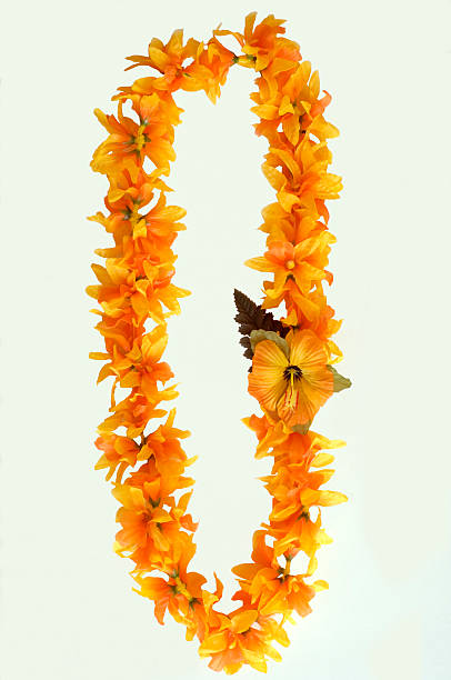 istock An orange Hawaiian lei on a white background 144807908