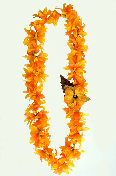 An orange Hawaiian lei on a white background orange and yellow hawaiian lei necklace photos stock pictures, royalty-free photos & images