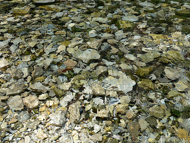 istock Stones in the water 144807988