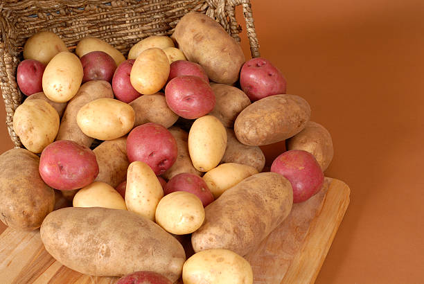 rotbraun, rot und weiß und kartoffeln aus einem korb verschütten - red potato raw potato red vegetable stock-fotos und bilder