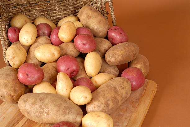 ルセット、赤と白のポテト溢れたバスケット - red potato raw potato red vegetable ストックフォトと画像