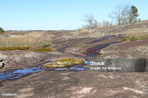 A Side Of Arabia Mountain Stock Photo - Download Image Now - Beauty In Nature, Color Image, Environment