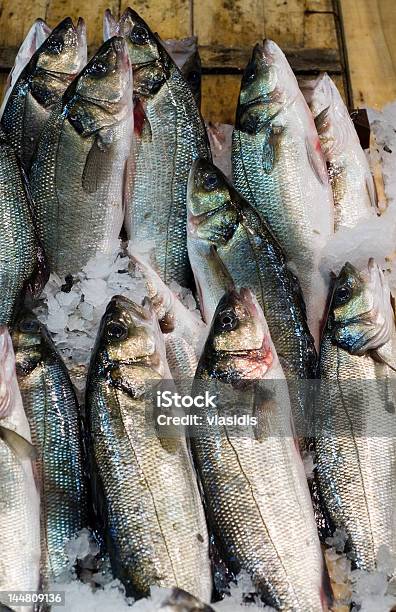 바다빛 Basses 현지 시장 건강한 식생활에 대한 스톡 사진 및 기타 이미지 - 건강한 식생활, 낚시, 냉동된