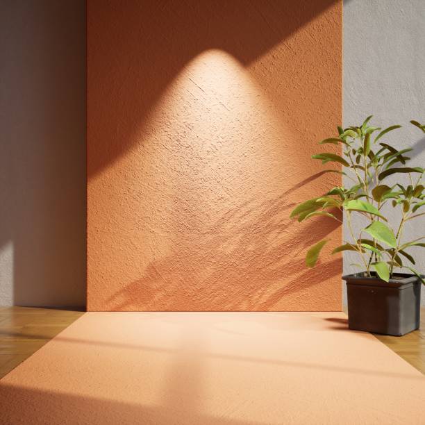 istock interior of a white room with a green plant 3D rendering 1448091538