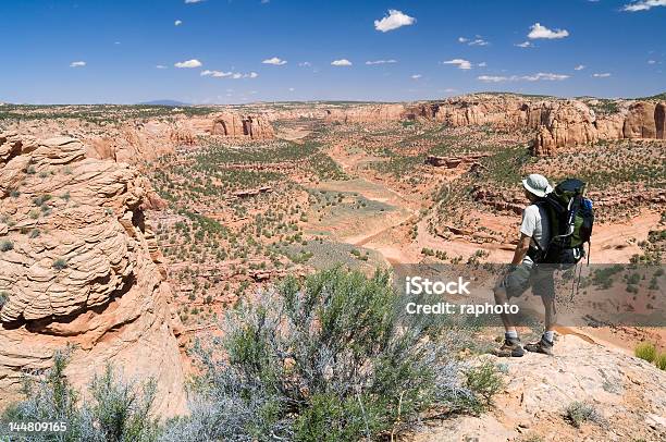 Desert Canyon Stockfoto und mehr Bilder von Abenteuer - Abenteuer, Abgeschiedenheit, Ansicht aus erhöhter Perspektive