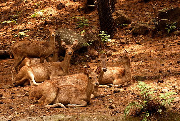 La famille - Photo