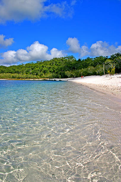 lake mckenzie, fraser island, australien - coastline noosa heads australia landscape stock-fotos und bilder