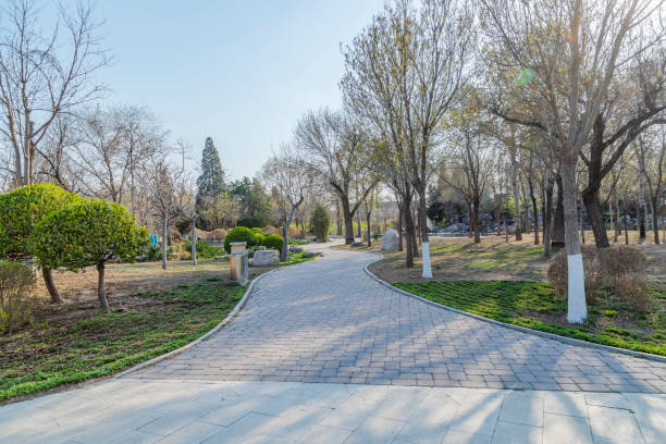 istock The road by the lake 1448103053