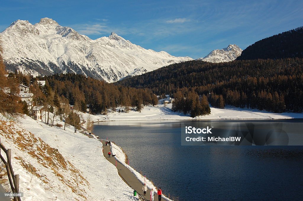Zimowy krajobraz w szwajcarskich podwyżki - Zbiór zdjęć royalty-free (Alpy)
