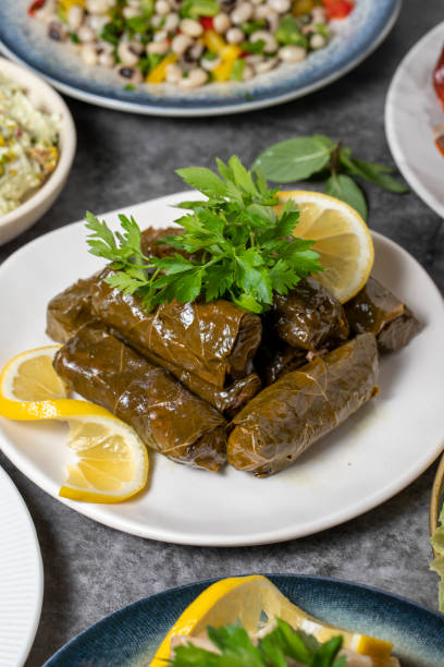 istock Traditional Turkish and Greek dinner appetizer table. Mediterranean appetizer concept. Dry cowpea salad, roasted eggplant salad, stuffed leaves with olive oil, stuffed dried peppers, cabbage rolls 1448104055