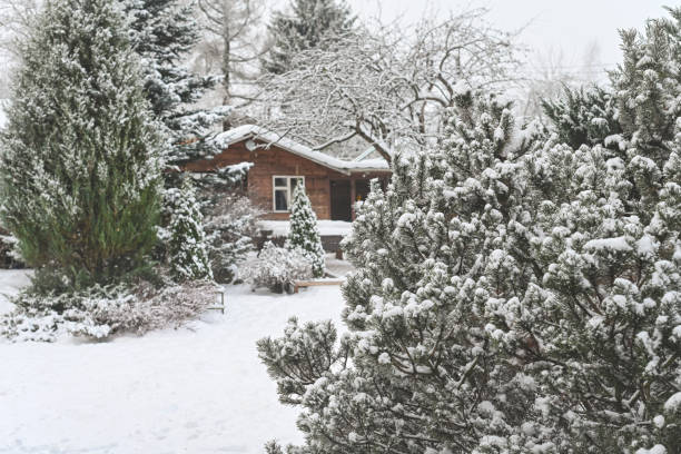 Small house - winter - snow - layout