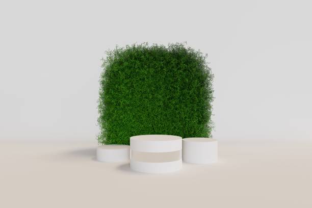 istock green grass isolated on white podium  grass wood plat 3d render illustration wallpaper background backdrop 1448107049
