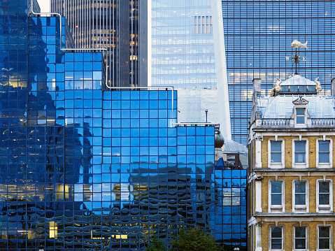 View of high rise glass building and dark steel window system, others buildings background