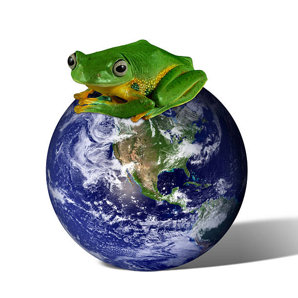 Save the Earth stock photo