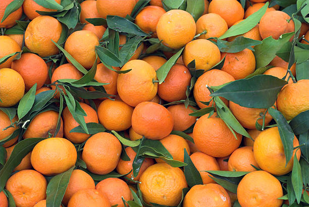 istock fresh tangerines at the local market 144811774
