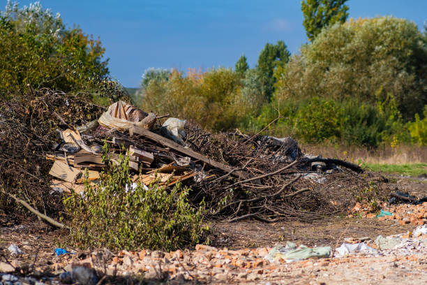 istock Construction debris near the forest in nature . 1448119969