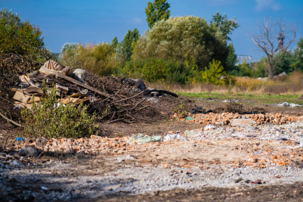 istock Construction debris near the forest in nature . 1448120069