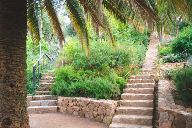 istock Stone stairs among green vegetation under a clear blue sky 1448122761