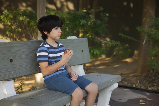 8 year old mixed race boy eating an apple in a park