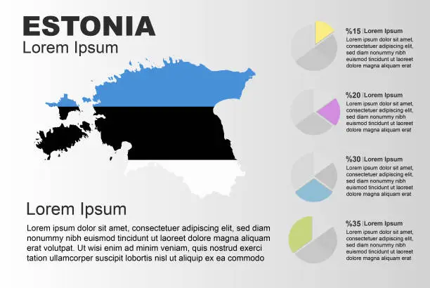 Vector illustration of Estonia infographic general use vector template with pie chart