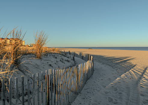 A wooden picket fence protects these sand dunes in Long Branch, along the Jersey shore.