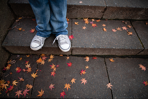 Fallen leaves park stairs and female feet
