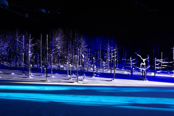 Illuminated winter blue pond