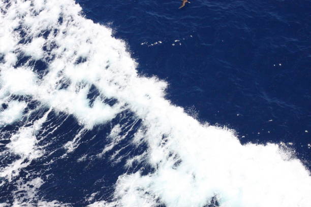 istock White waves in the blue ocean sunny day top angle 1448144268