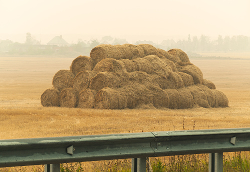 mass stacked pile of hay ricks in foggy farm field by the road