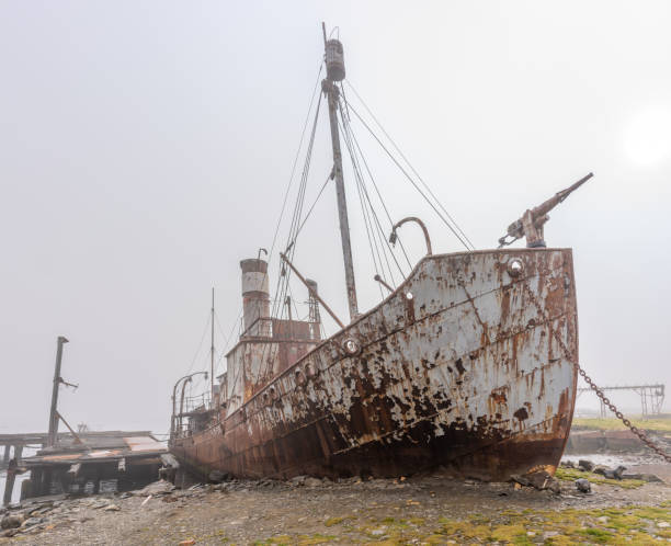 istock Old, rusty whaling ships and processing facilities at a now abandoned whaling station in Grytviken -on the island of South Georgia. 1448153956
