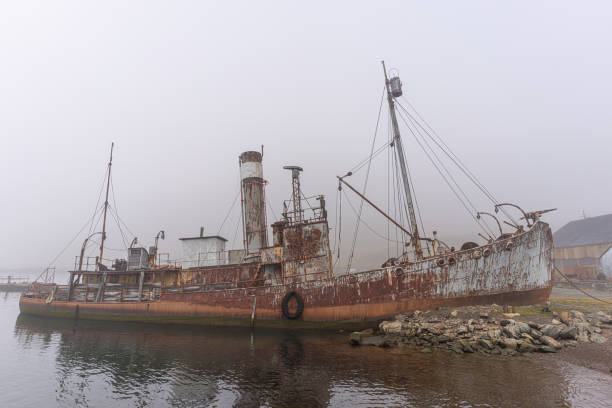 Old, rusty whaling ships and processing facilities at a now abandoned whaling station in Grytviken -on the island of South Georgia. Old, rusty whaling ships and processing facilities at a now abandoned whaling station in Grytviken -on the island of South Georgia. whaling stock pictures, royalty-free photos & images