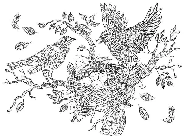 Vector illustration of Birds nests on the branches of a tree. Leaves, feathers, wings, eggs. Environment, nature, pring. Hand drawn illustration. Cute anti stress coloring book page, postcard.