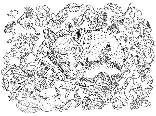 Vector illustration of Cute sleeping fox among leaves, nuts, mushrooms, flowers and berries. Environment, nature, forest, meadow, plants. Anti stress coloring book page, postcard, hand drawn children's illustration.