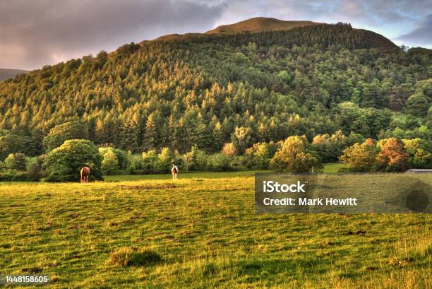 Latrigg At Sunset Stock Photo - Download Image Now - Color Image, Cumbria, Cumbrian Mountains
