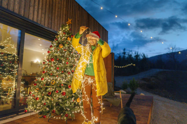 istock Fairy lights on Christmas nights 1448159542