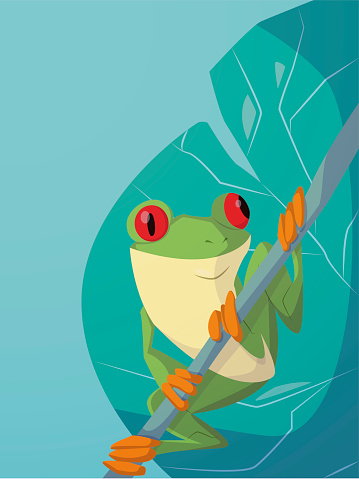 illustration of a toad clinging to a branch