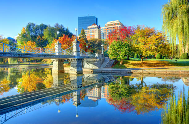 otoño en el jardín público de boston - boston common fotografías e imágenes de stock