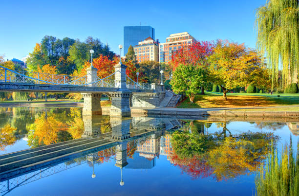 istock Autumn in the Boston Public Garden 1448165934