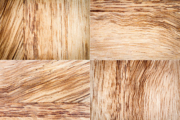 Collection of light wood texture backgrounds with old natural patterns. Detail of wood textures. Old wooden boards.