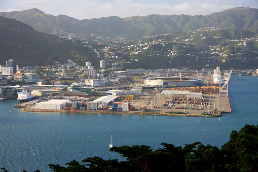Aerial view of harbour in Wellington, New Zealand