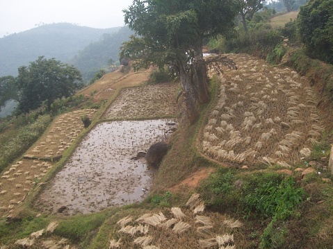 In hilly areas water are resistet and do farming.