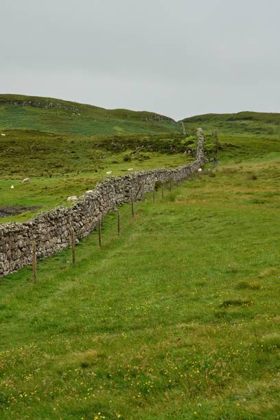 istock Natural stone wall and fence along a green meadow 1448171710