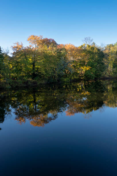 istock Autumn trees reflected on the water of a river 1448172106