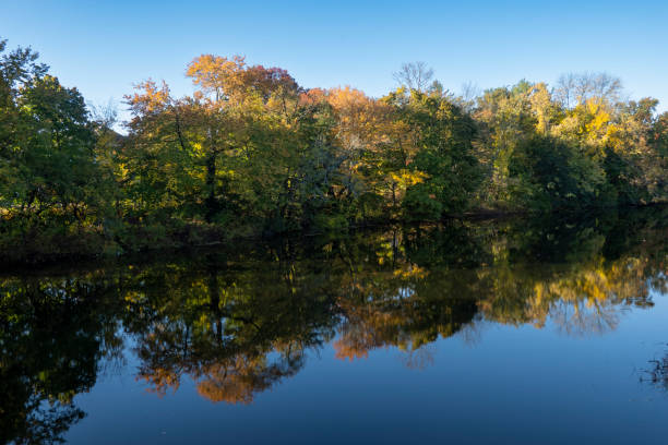 istock Autumn trees reflected on the water of a river 1448172507