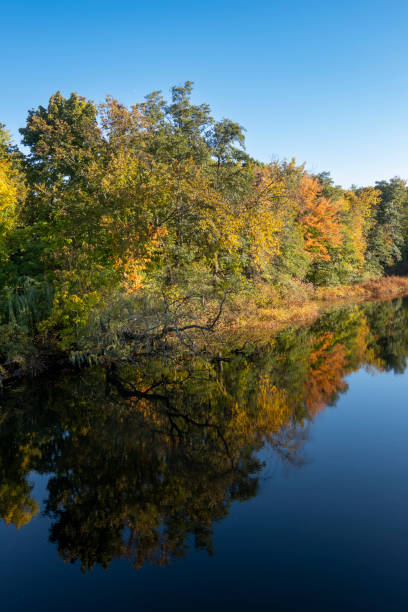 istock Autumn trees reflected on the water of a river 1448172510