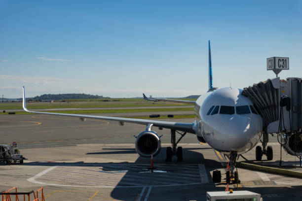 istock Preparation of an airplane before departure 1448172562